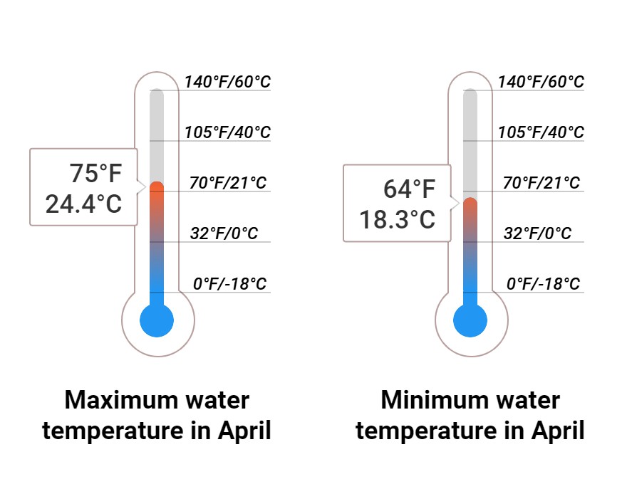 Average Sea temperature